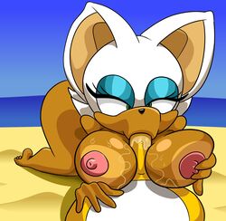 1boy 1girls absurd_res big_breasts breasts fellatio female green_eyes hi_res miles_tails_prower oral outercourse paizuri parumpi penis pov rouge_the_bat sex sonic_(series) straight