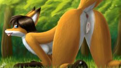 anthro anus ass blush breasts canid canine female fox fur haiiromon hair hi_res mammal nude orange_fur pussy tongue white_fur