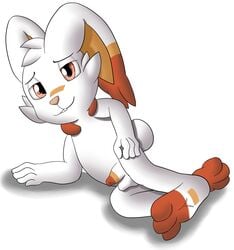 2019 3_toes 4_fingers balls bedroom_eyes foxkai fur half-closed_eyes lagomorph looking_at_viewer male male_only mammal nintendo penis pokémon_(species) pokemon pokemon_ss scorbunny seductive solo toes video_games white_fur