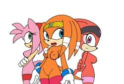 accessory amy_rose blue_eyes breasts clothing dakina echidna eulipotyphlan female genitals gloves green_eyes hair handwear headband headdress hedgehog legwear looking_at_viewer mammal monotreme nipples nude pink_eyes pussy sega shade_the_echidna short_hair side_boob small_breasts sonic_(series) sonic_adventure sonic_chronicles:_the_dark_brotherhood sonic_the_hedgehog_(series) stockings third-party_edit tikal_the_echidna