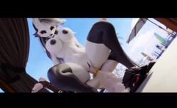 amazon_position blackspoiler furry loona_(dogzeela) tagme video