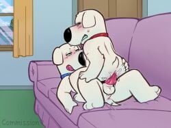 anal anal_sex animal_genitalia animal_penis anonpupb anthro balls brian_griffin canid canine canine_genitalia canine_penis canis collar collar_only domestic_dog duo family_guy furniture genitals hand_on_butt hi_res knot male male/male mammal nude penetration penis robot_brian selfcest sofa square_crossover