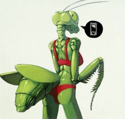 <3 1girls 2019 anthro ass bra female green_body green_eyes green_skin heart hi_res highres insect_girl insects looking_back mantis panties phone praying_mantis tagme text_bubble underwear unknown_artist wings