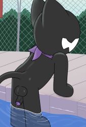 aaron_amethyst absurd_res anthro balls black_body butt eyeless fangs fence genitals hi_res kerchief male monstercat monstercat_media open_mouth outside penis purple_kerchief solo swimming_pool teeth wet wet_body