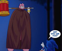 amy_rose cloak fruitybootydx giantess hammer sonic_(series) sonic_the_hedgehog
