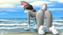 anthro anus ass beach blush breasts female fur green_eyes grey_fur haiiromon hair hi_res lagomorph looking_at_viewer mammal nipples nude presenting presenting_hindquarters presenting_pussy pussy rabbit sea seaside smile water