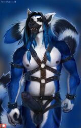 anthro big_penis blue_eyes blue_fur blue_hair cock_ring ear_piercing erection foreskin fur hair harness humanoid_penis leather lemur long_hair lune male male_only mammal nipple_piercing nipples open_mouth penis piercing precum primate ring-tailed_lemur skull solo spiked_armband spiked_cuffs spikes standing teeth totesfleisch8 uncut wrist_cuff