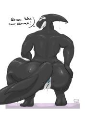 absurd_res anthro anus aquatic big_breasts big_butt black_body blue_anus blue_eyes blue_vulva bodily_fluids breasts butt cetacean crouching dolphin eyebrow_piercing facial_piercing female fin fin_piercing furgonomic_piercing furgonomics genitals glistening hand_on_butt hi_res kokol115 lipstick looking_at_viewer looking_back makeup mammal marta_mareala muscular muscular_female oceanic_dolphin orca piercing solo sweat sweatdrop tail thick_thighs toothed_whale vulva wide_hips