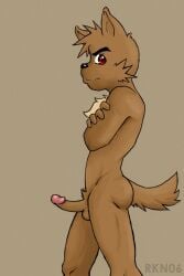 2006 anthro athletic athletic_male balls black_eyebrows black_nose brown_background brown_balls brown_body brown_fur brown_penis brown_tail butt canid canine chest_tuft crossed_arms erection eyebrows fur genitals glans humanoid looking_at_viewer male mammal penis pink_glans portrait pubes rakuun realistic_penis_size red_eyes side_view signature simple_background solo tail thick_eyebrows three-quarter_portrait tuft