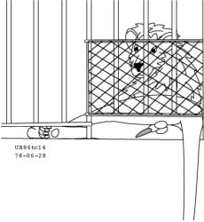 1978 20th_century ancient_art animal_genitalia balls black_and_white cage dated erection felid feral fur genitals lion looking_at_viewer low_res lying male mammal mane monochrome pantherine paws penis sheath simple_background solo tail urbanhermit white_background