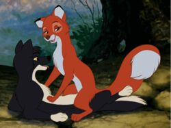 2019 2d 2d_animation animated black_fur canid canine canis cowgirl_position disney domestic_dog duo female feral feral_on_feral flat_colors fox fur half-closed_eyes looking_down lying male mammal multicolored_fur on_back on_top open_mouth penetration penis red_fur sex straight the_fox_and_the_hound tongue tongue_out toony tuwka two_tone_fur vaginal_penetration vixey white_fur yellow_eyes