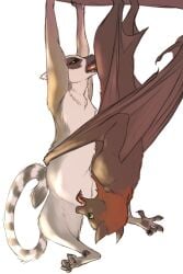 2:3 69_position animal_genitalia bat black_body black_fur brown_body brown_fur claws cunnilingus curling_toes duo feet fellatio female feral feral_on_feral flying_fox fur genitals green_eyes grey_body grey_fur hanging_from_branch hi_res lemur long_tail male male/female mammal megabat oral penile penis peregr1ne primate ring-tailed_lemur sex simple_background strepsirrhine tail tongue upside_down vaginal vulva white_background wings yellow_eyes
