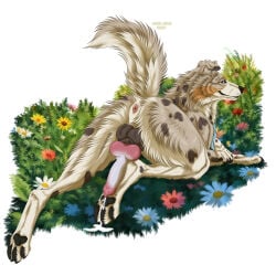 1:1 absurd_res anatomically_correct anatomically_correct_genitalia anatomically_correct_penis anus australian_shepherd blue_eyes bodily_fluids butt canid canine canis cattledog cum cum_on_feet domestic_dog feet feral genital_fluids genitals herding_dog hi_res looking_at_viewer male mammal msdeadsoul pastoral_dog paws penis raised_tail rear_view rikuroo sheepdog tail