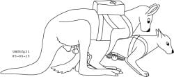1985 anatomically_correct anatomically_correct_genitalia anatomically_correct_penis animal_genitalia animal_penis backpack backpack_only backpacking balls balls_above_penis black_and_white canid canine canine_genitalia canine_penis claws dated duo erection feral from_behind_position fur genitals interspecies jerking_off_another kangaroo knot macropod male male/male mammal marsupial marsupial_penis monochrome mounting penis sex sheath simple_background size_difference tail urbanhermit white_background