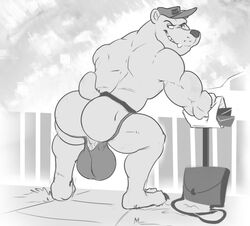 anthro ass big_bulge bulge clothing greyscale hat hewge jockstrap looking_back male male_only mammal monochrome muscular muscular_male polar_bear smile solo standing underwear ursid ursine