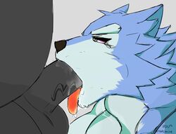 anthro balls belly canid canine canis cheek_bulge domestic_dog duo fellatio fur male mammal neck_bulge oral penis radcanine saliva tears tongue tongue_out vein yaoi