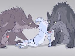 animal_genitalia animal_penis animal_pussy ass_up balls canid canine canis capreoline cervid doe drooling female feral fur licking male mammal penis penis_tip precum pussy saliva sheath size_difference tharsisgoat tongue tongue_out wolf