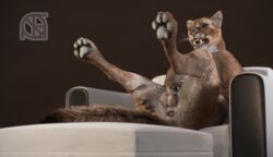 3d animal_genitalia anthro anus ass backsack balls cosmiclife cougar feet felid feline feral fur hi_res hindpaw hunter_(cosmiclife) looking_at_viewer male mammal open_mouth pantherine pawpads paws penis pinup pose realistic semi-anthro sheath sofa solo teeth whiskers