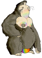 1boy ape balls clothing ejaculation fapp gorilla growth hairy haplorhine huge_nipples human hybrid macro male male_focus male_lactation male_only mammal monkey monkey_boy monkey_feet monster multi_arm multi_limb multi_pec multi_torso penis post_transformation prehensile_feet primate slightly_chubby solo solo_focus speedo subariel swimsuit tattoo taur transformation unusual_anatomy what