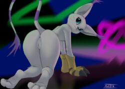 antira anus clothing digimon digimon_(species) female gatomon gloves no_humans presenting pussy solo