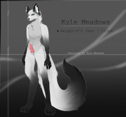 absurd_res animal_genitalia animal_penis anthro canid canine canine_genitalia canine_penis english_text fox fur genitals green_eyes hi_res knot kyle_meadows male mammal nude penis slim solo standing text white_body white_fur