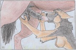 animal_genitalia animal_penis anthro anthro_on_feral balls breasts canid canine canis domestic_dog duo equid equine equine_penis featureless_breasts female feral fondling german_shepherd horse horsecock hym interspecies male mammal oral penis tongue zelinda zoophilia