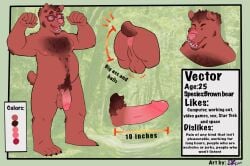 2020 anthro anus balls bear big_penis brown_body butt english_text erection eyewear eyewear_only fangs flaccid gavin_daboi1005 genitals glans glasses glasses_only hi_res male mammal model_sheet nude penis profanity pubes solo tail teeth text vector_the_bear wearing_glasses