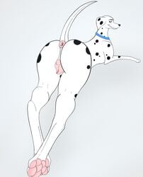 101_dalmatians anatomically_correct animal_genitalia animal_pussy anus ass canid canine canis collar dalmatian disney domestic_dog female feral hindpaw invalid_tag kaze~inu looking_back lying mammal pawpads paws perdita presenting presenting_pussy pussy solo spots