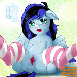 anus ass blush clothing equid equine fan_character female hair legwear mammal mcpixxels my_little_pony nude pterippus pussy socks solo stripes