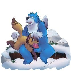 2019 anthro balls belly blue_fur brown_fur canid canine cum duo erection fingering fur grizzlesbear humanoid_penis male mammal moosh nintendo one_eye_closed oracle_of_ages oracle_of_seasons oral penis raccoon_dog sex sitting slightly_chubby snow tanuki teeth the_legend_of_zelda ursid video_games wings wink yaoi