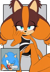 Sonic (Series) Rule 34 Image