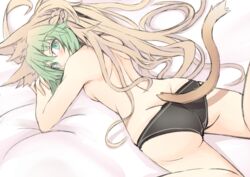 artist_request ass atalanta_(fate) black_panties blonde_hair cat_ears cat_tail fate/apocrypha fate/grand_order fate_(series) green_eyes green_hair looking_at_viewer looking_back lying nahu nekomimi no_bra panties