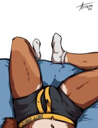 absurd_res anthro arcanewolfdragon bed boxer_briefs brown_body brown_fur bulge cain_the_dingo canid canine canis clothing dingo footwear fur furniture hi_res lying lying_on_bed male mammal on_bed socks solo underwear waist_down white_clothing white_footwear white_socks