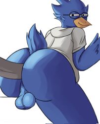 akenju anal anal_sex anthro ass avian backsack balls beak berdly bird blue_balls blue_body blue_feathers blue_perineum bottomless bubble_butt clothed clothing deltarune disembodied_penis eyebrows eyewear feathers gay genitals glasses grey_penis half-closed_eyes hi_res looking_at_viewer looking_back male male/male narrowed_eyes penetration penile penile_penetration penis penis_in_ass perineum raised_eyebrow sex shirt simple_background smile smug solo_focus tail_feathers topwear topwear_only undertale_(series) video_games white_background yellow_beak