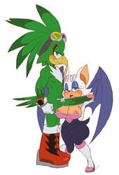 avian bluechika blush boots breasts camel_toe chiropteran clothing color duo eyewear feathers female footwear gloves goggles headgear headwear humanoid_penis jet_the_hawk male mammal penis rouge_the_bat sega sonic_(series) sonic_riders straight white_background wings