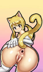 lucy heartfilia from fairy tail by enenra
