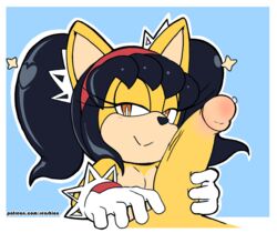 anthro black_hair canine duo faceless_male feline female fox gloves hair handjob honey_the_cat interspecies male male_pov mammal penis penis_grab pov precum sega senshion sonic_(series) sonic_the_fighters sonic_the_hedgehog_(series) straight tails video_games yellow_fur yellow_penis