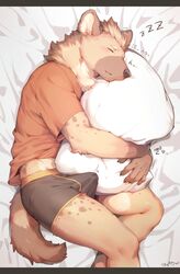 1boy 2019 5_fingers anthro bed black_underwear closed_eyes clothing erection erection_under_clothes hi_res hyaenid lying male male_only mammal omochi_kuitai on_bed sleeping solo tenting underwear wet_dream wet_spot