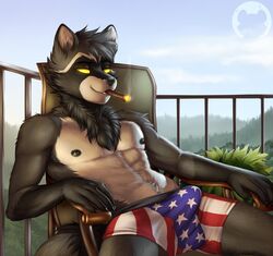 1boy anthro bulge cigar claws clothing doc_mcrascal eyebrows flag_underwear fur glowing glowing_eyes male male_only mammal nipples outside procyonid raccoon sitting smoke smoking solo tenting tigerinspace underwear