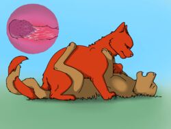 animal_genitalia animated colored cum felid feline female feral firestar_(warriors) highres male mammal sandstorm_(warriors) simple_background straight thathornycat