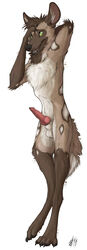 african_wild_dog anthro balls canid canine hi_res lizet male male_only mammal penis