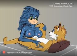 2019 bed breasts corney eye_contact fur hair lying male nipples penis pillow simple_background sonic_(series) sonic_the_hedgehog tails video_games