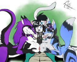 3girls anthro breasts canid canine collar cum cum_in_hair cum_on_breasts cum_on_face dekaisen double_paizuri felid feline foursome fox group group_sex hair hi_res humanoid_penis multiple_paizuri nipples nude paizuri penis sergal sex smile tongue tongue_out