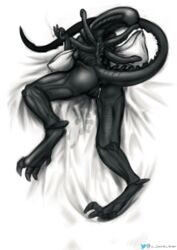 1girls absurd_res after_sex alien alien_(franchise) anus bed cum female female_only female_xenomorph hi_res pussy solo the_gentle_giant xenomorph