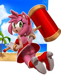 amy rose from sega
