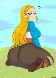 princess zelda from breath of the wild by drunkavocado