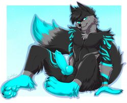 1boy anthro black_fur canid canine canis fur furry jak_luca knot low_res male male_only mammal nude penis sheldon_dober solo teal_eyes temptation testicles tricolor wolf