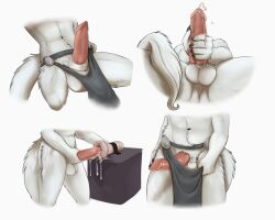 Aris (Andalite) Rule 34 Image