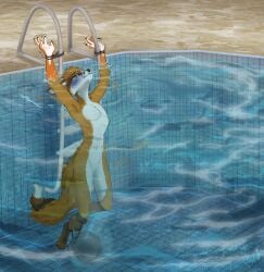 agony ankles_tied anthro asphyxiation bound canid canine digital_media_(artwork) drowning execution featureless_crotch feet forced fox fur hair hands_tied hi_res imminent_death male mammal mrs._stein nude partially_submerged peril pool rope snuff solo tail water weights