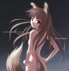 1girls animal_ears holo nekopuchi nude red_eyes spice_and_wolf tail translation_request wolf_ears